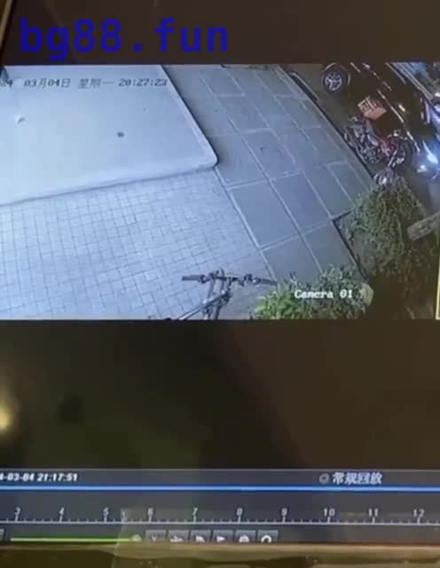 33755144_5646.mp4