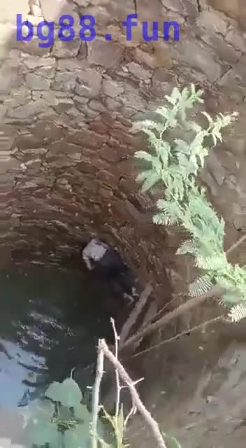 印度拉贾斯坦邦，一名低种姓（达利特）女孩被高种姓印度男子轮奸，然后他们将酸泼在她的脸上，并将她扔进井里 - 第一吃瓜网 chigua.one.mp4
