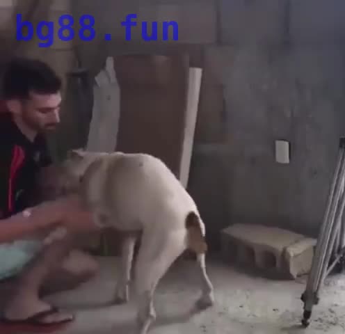 7月3日.mp4