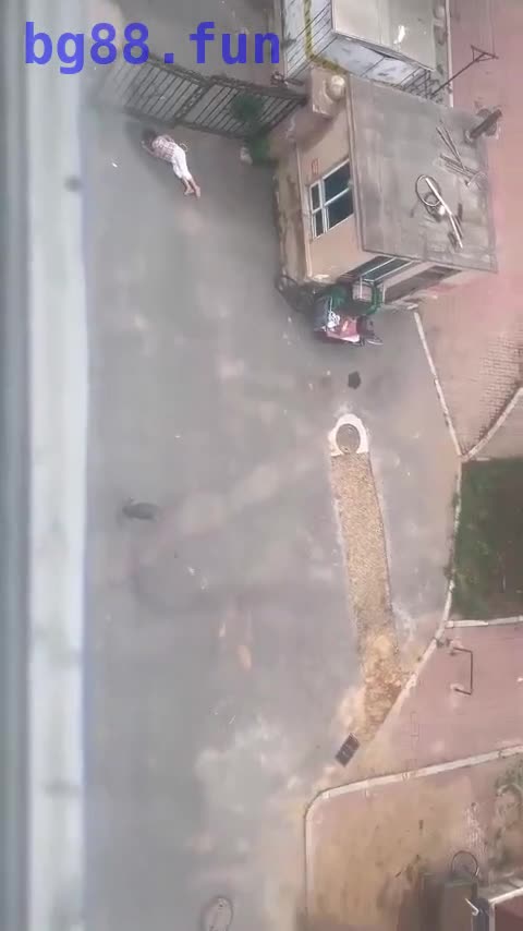 7月5日.mp4