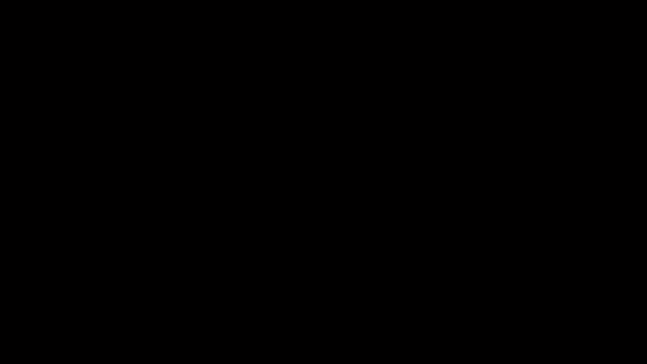 4.mp4