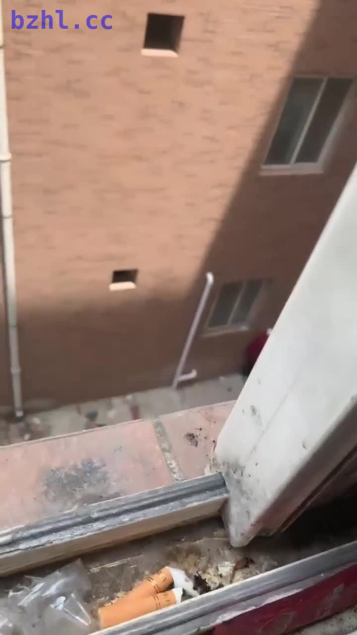 4.mp4