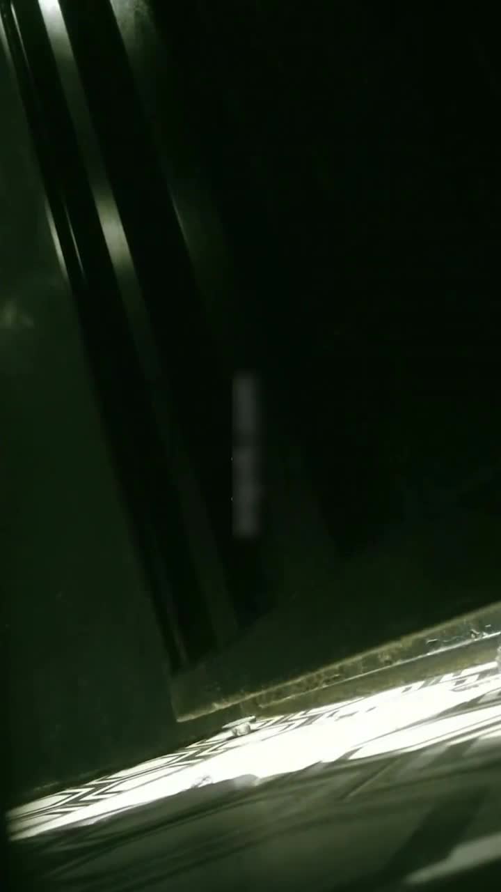 2.mp4