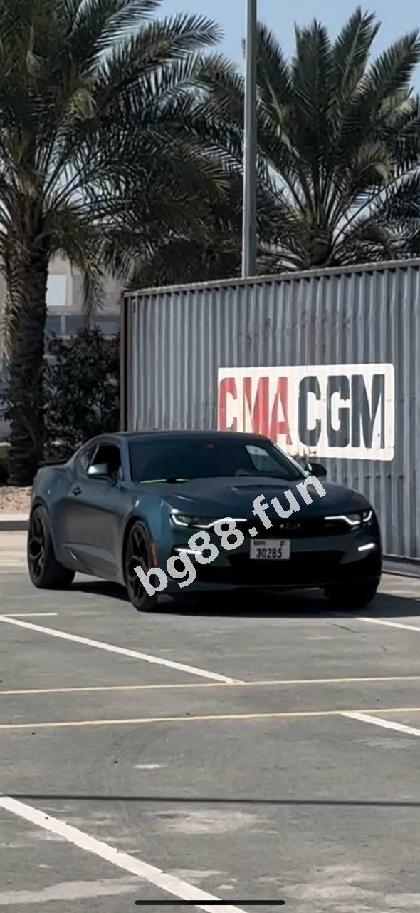 0fafb8d480544710b8b3a5db49202481.jpg