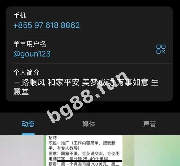dc7a32396c734b77bf0ba48bcdc983f8.jpeg