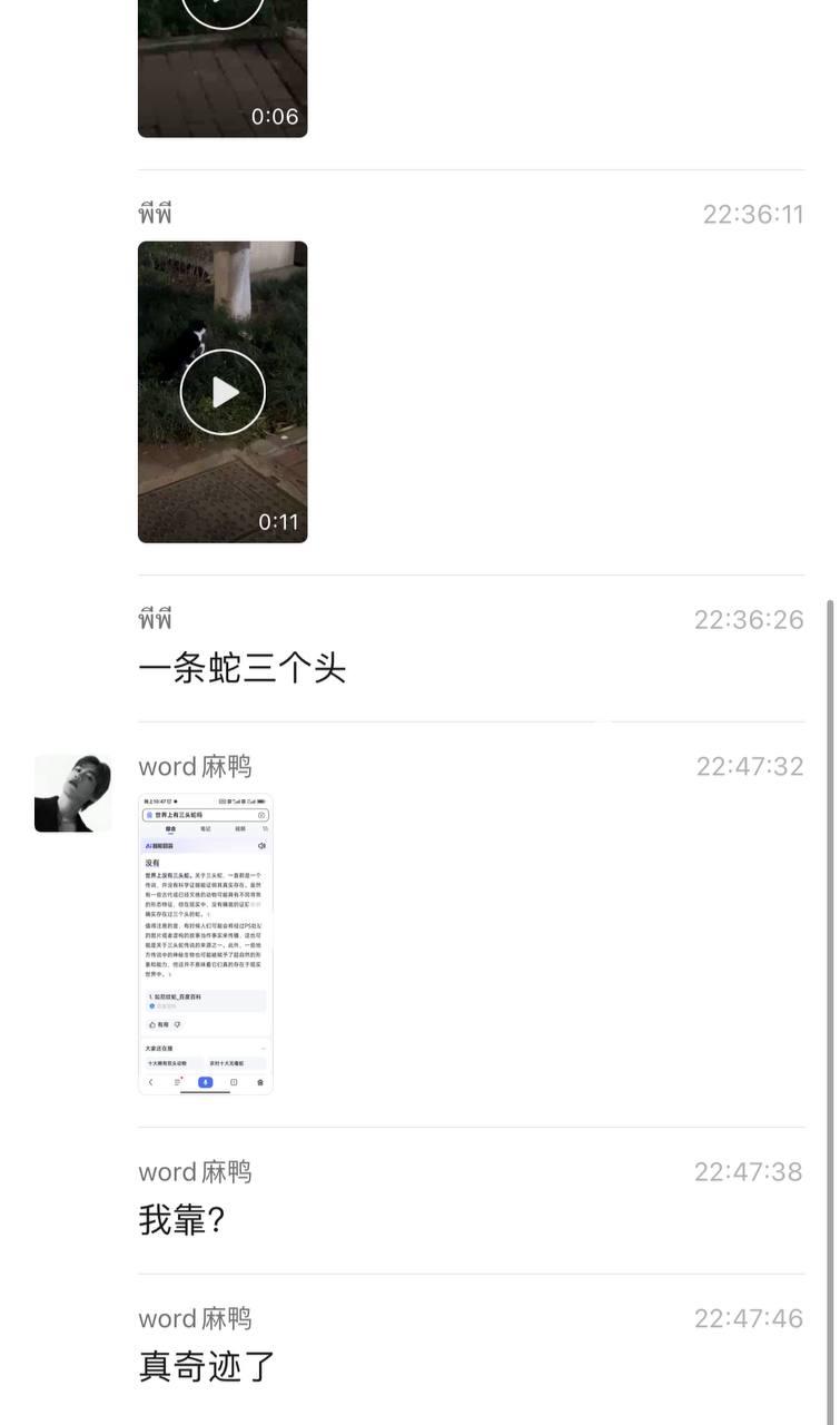 34d12403910e4b3cb3b5ceaf7c6b64a1.jpeg