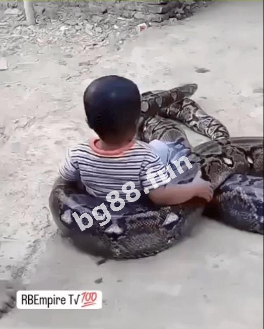 77abede90e75470eafc3cf8138eeb7a8.jpeg
