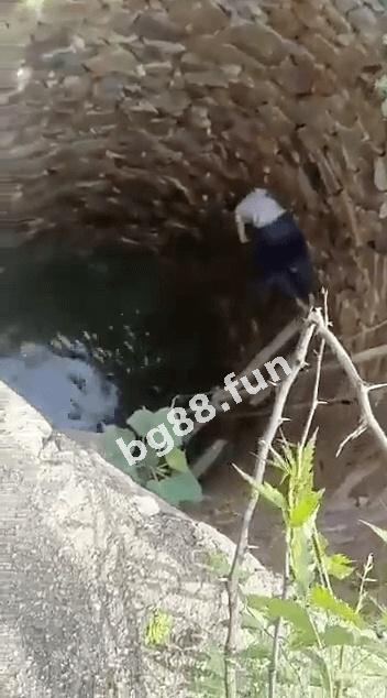 35445da3545c4697808f3c625c9c22d2.jpeg