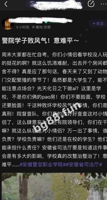 a16bf4c6e2404f659741206acd485a4b.jpeg