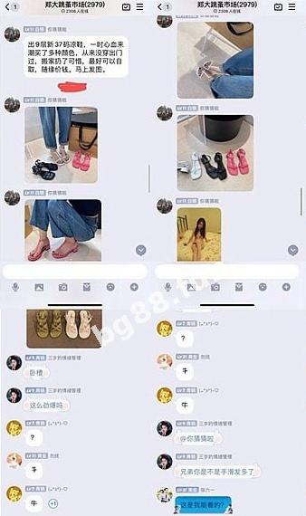 4f194203cabf45378f23bff05df9900f.jpeg