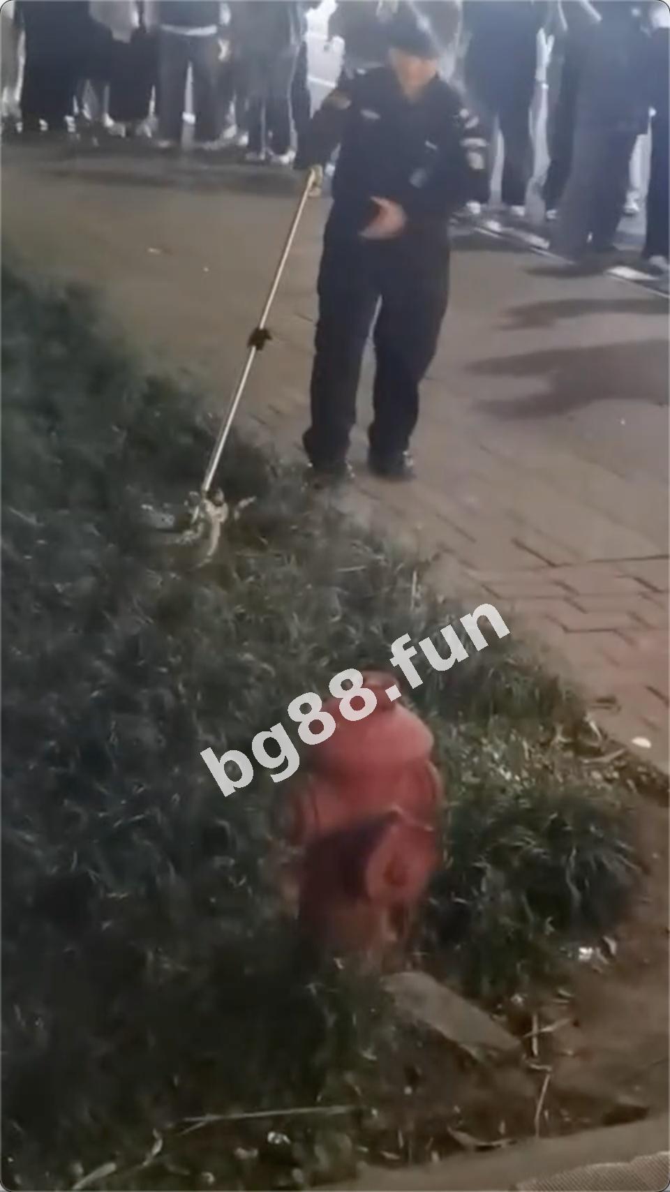 f3a181f6a3e84257949356be8dd0918e.jpeg