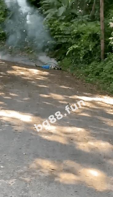 6e7a0297b1a949e99e2c7739075e9c25.jpeg