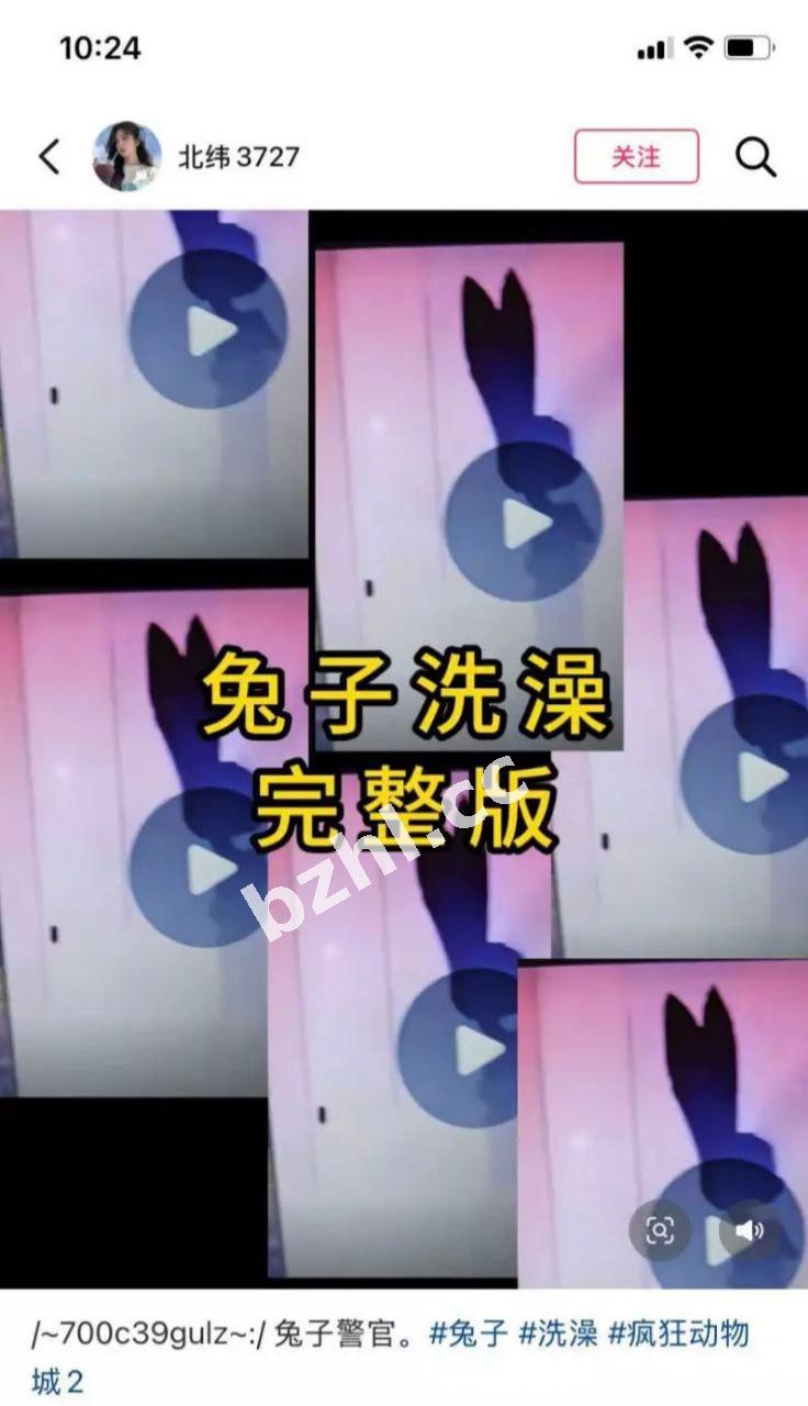 80f0addd1c5b4cb0a62473ef476acc83.jpg