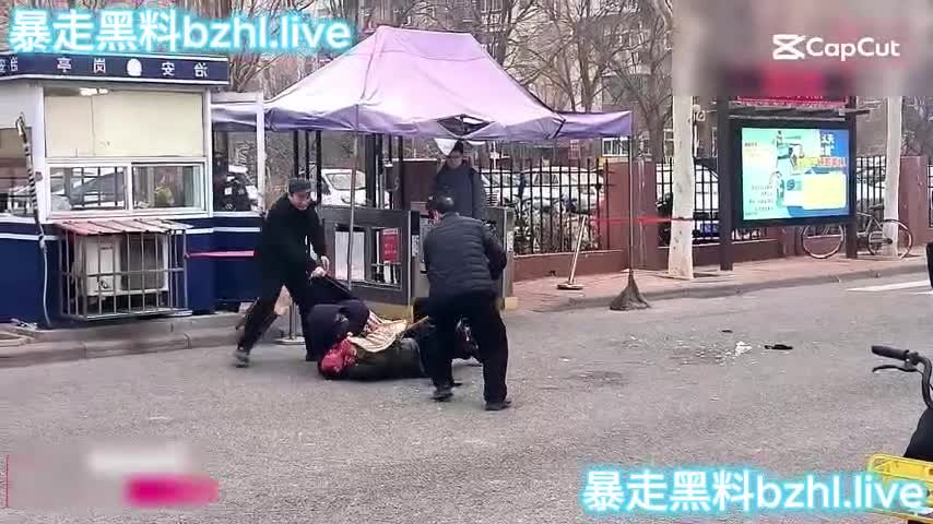 第二部视频_副本.mp4