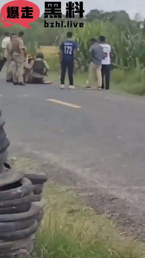 c2.mp4
