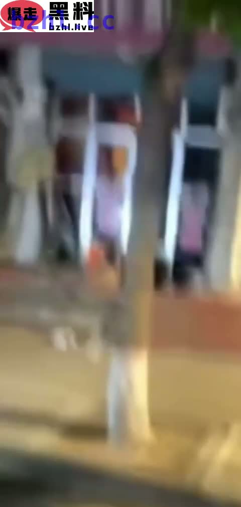 全网狼友跪求山西原平花店野战 苏婉宁纸扎铺激情内射