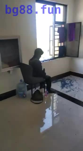 4.mp4