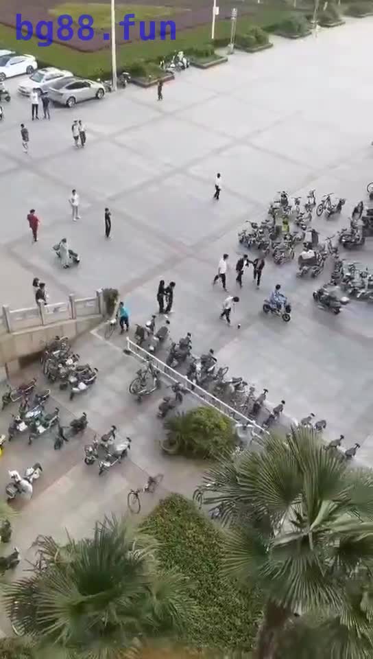 479590f97791f9aaa49ab2b819a53fe9.mp4