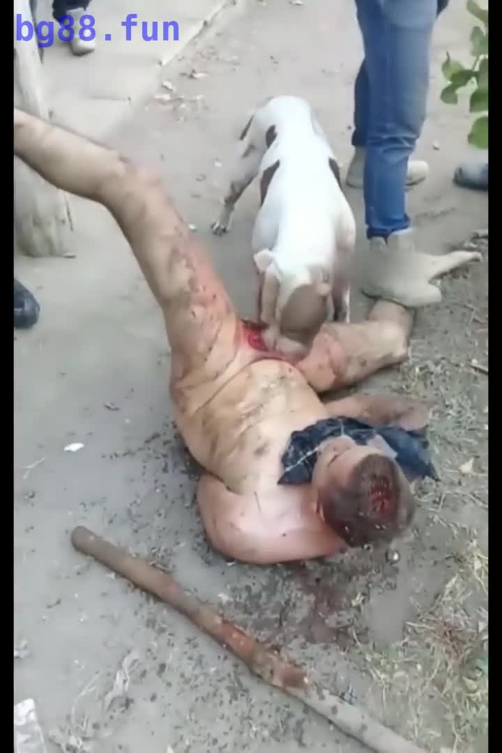 2023-11-16 18.17.23.mp4
