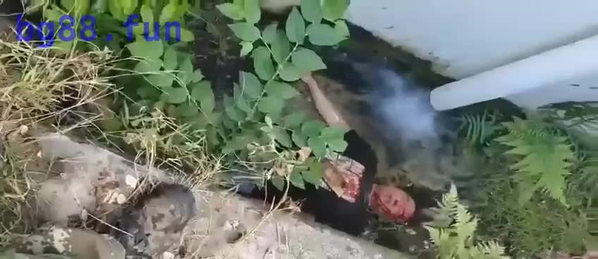 IMG_9791.MP4